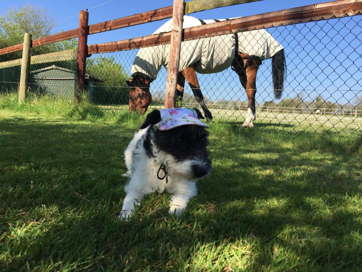The Starting Gate Bruton Updated 21 Prices The Starting Gate Bruton Updated 21 Prices