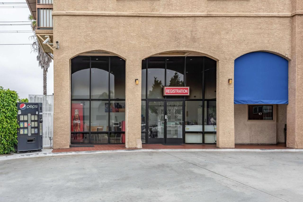 Camino Palms Motel Apartments — photo 11