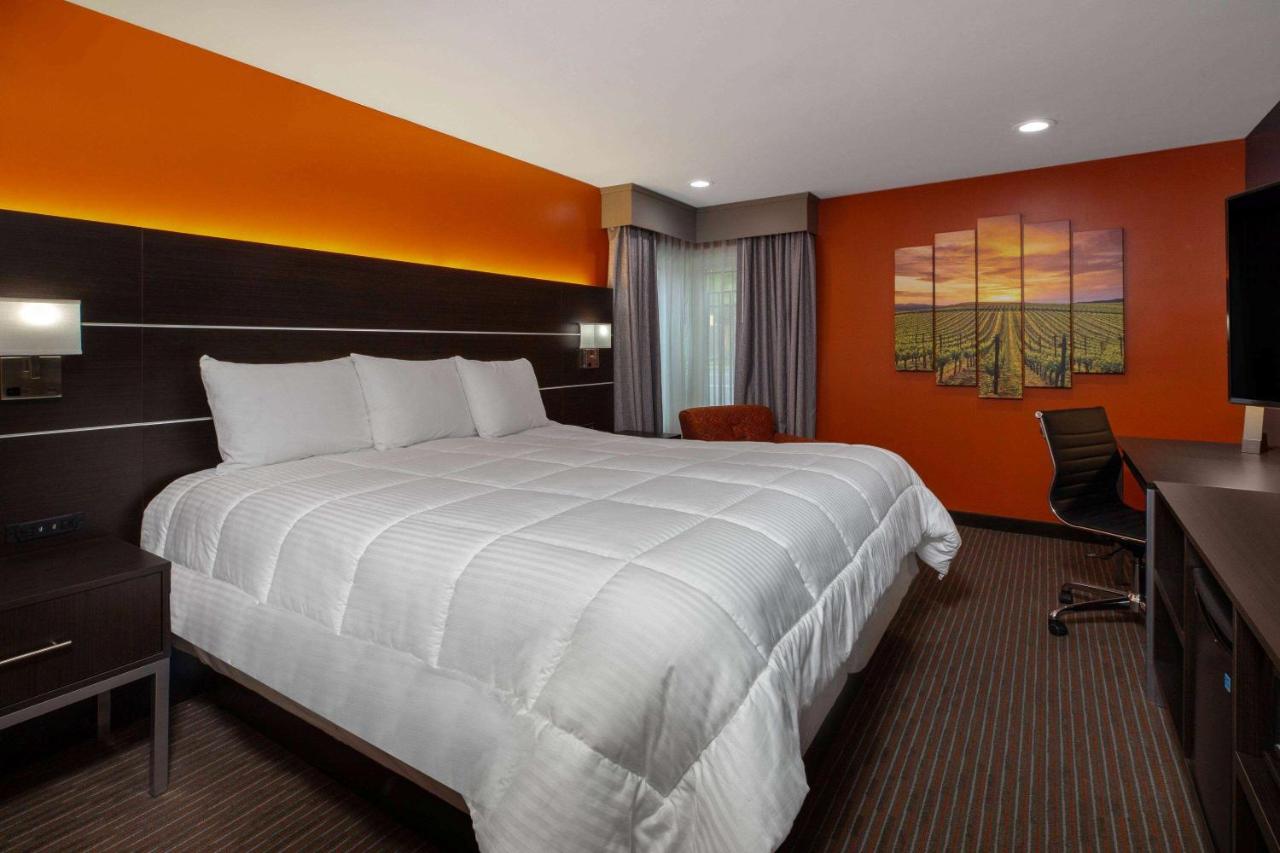 Hotel Vinea Healdsburg — photo 6