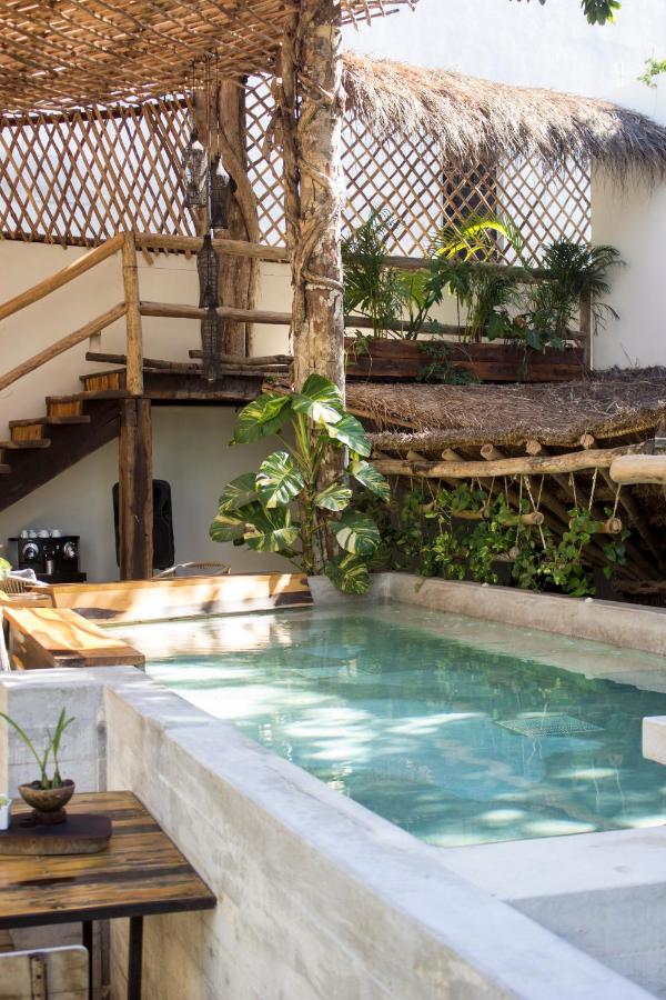 Rooftop swimming pool: Orchid House Tulum
