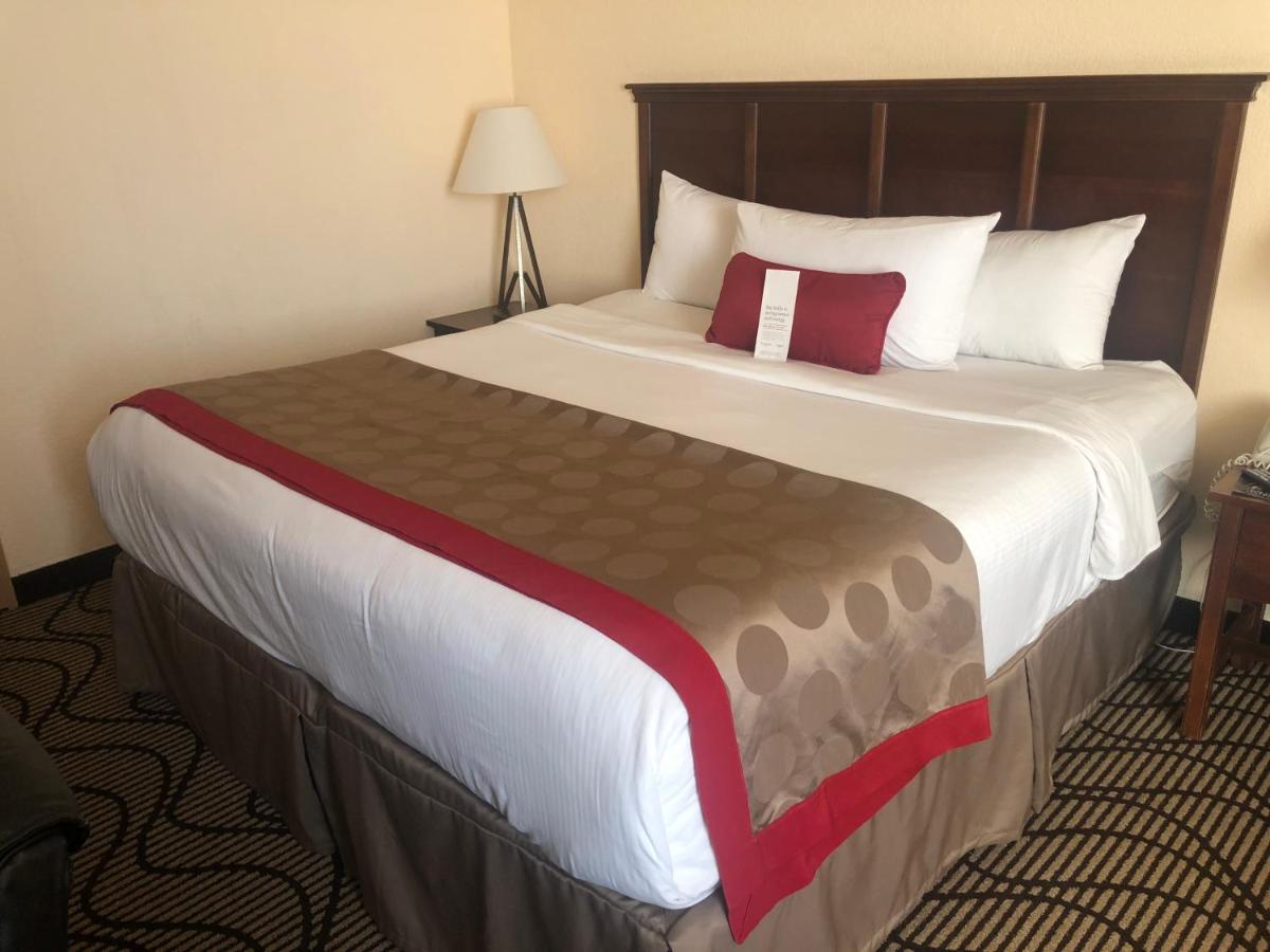 Ramada by Wyndham Birmingham Airport photo