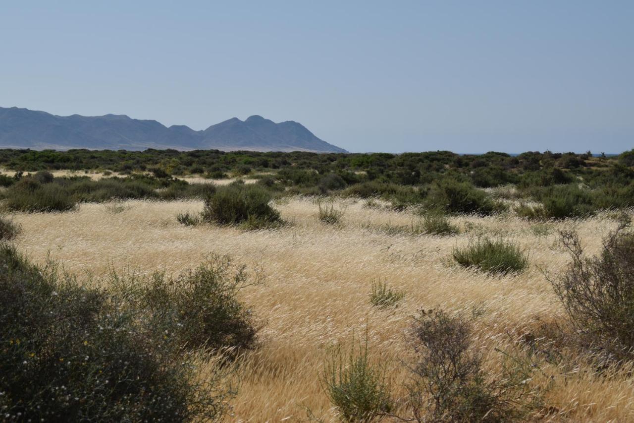 Cortijo La Molina de Cabo de Gata, Cabo de Gata – Bijgewerkte ...
