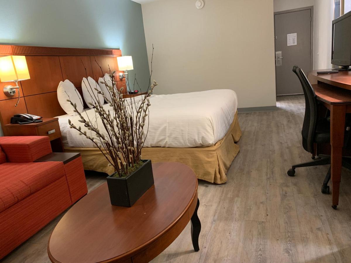 The Hotel Orange — photo 11