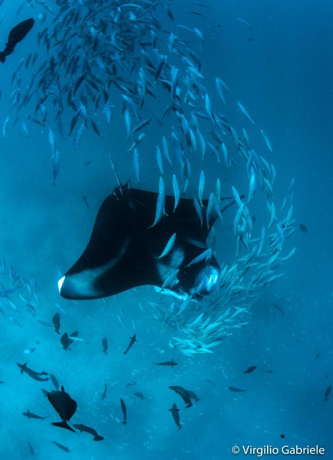 Faima Fishing Lodge at Daravandhoo - 5