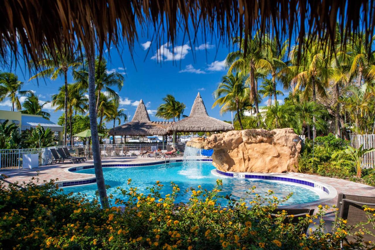 Heated swimming pool: Holiday Inn Key Largo, an IHG Hotel