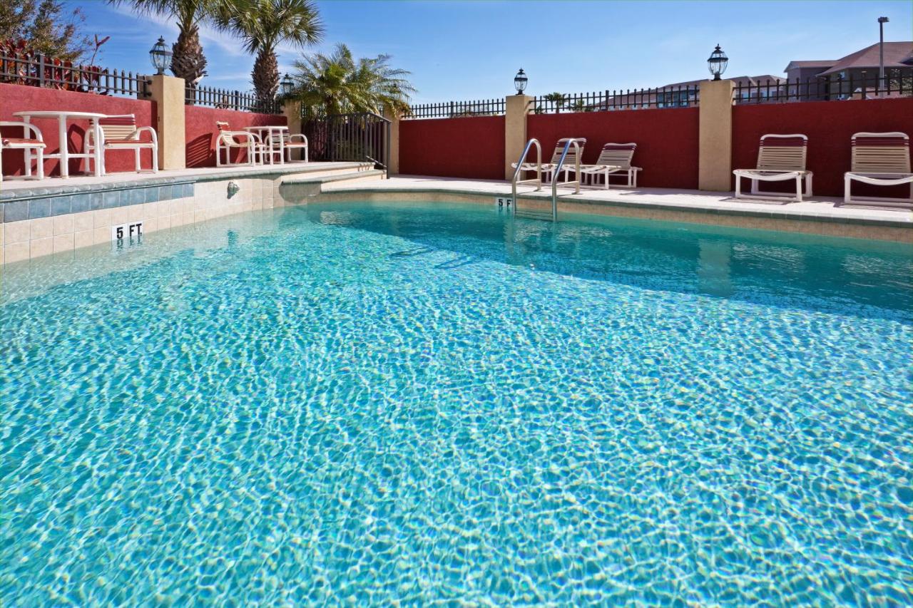 Heated swimming pool: Holiday Inn Express Hotel & Suites Tampa-Oldsmar, an IHG Hotel