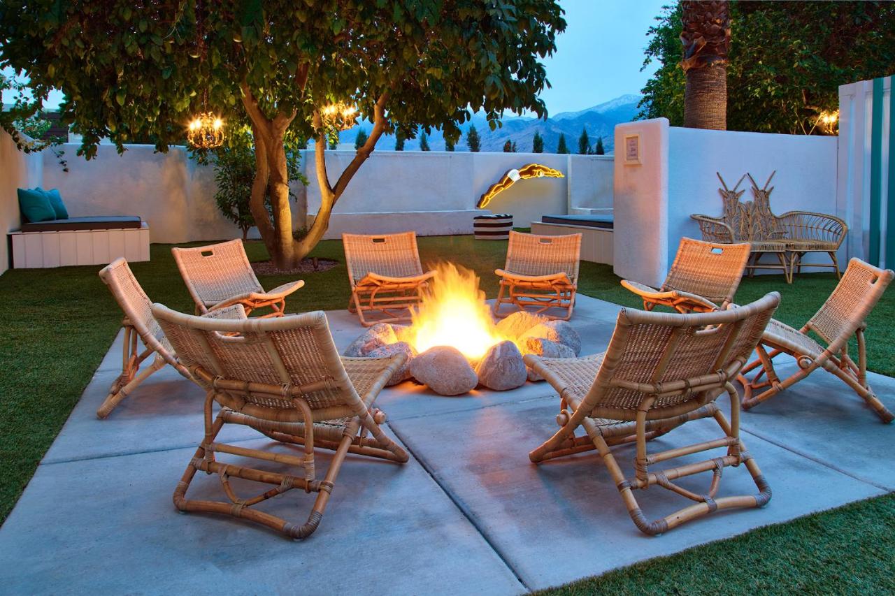 Dive Palm Springs Hotel - 21 & Over — photo 15