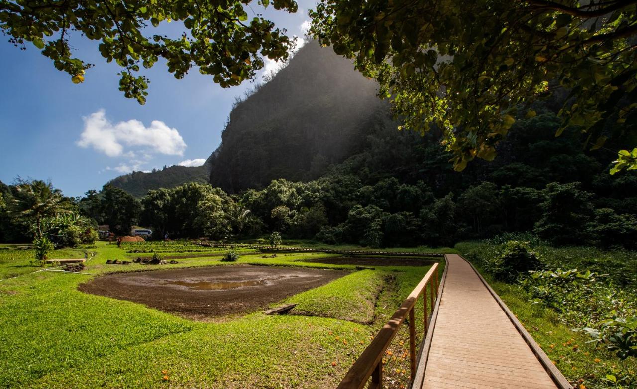 Hanalei Colony Resort — photo 21