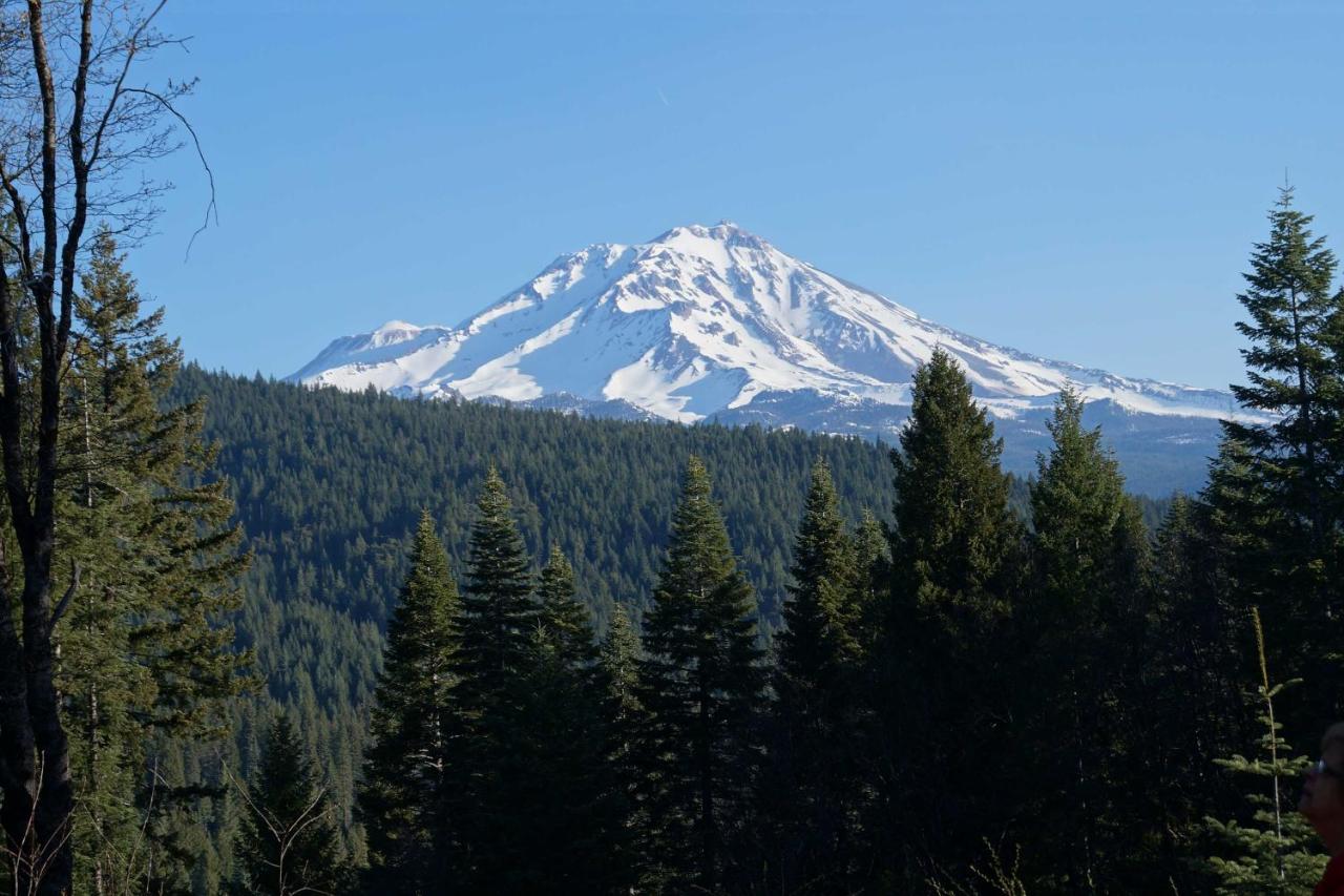 Mt. Shasta Ski Park, McCloud