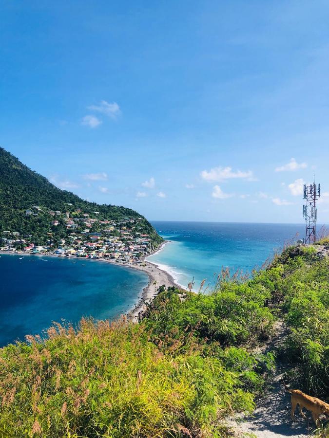 Soufriere Guesthouse - 2