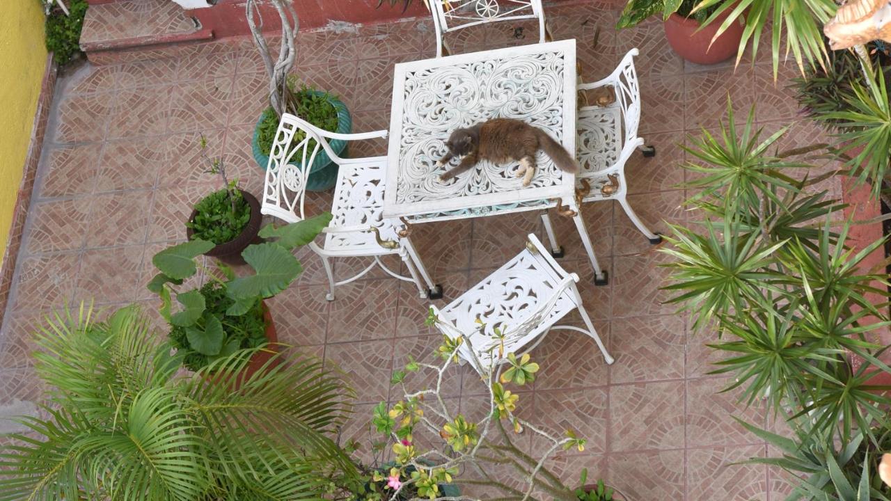 Cancun Guest House 6 - 3