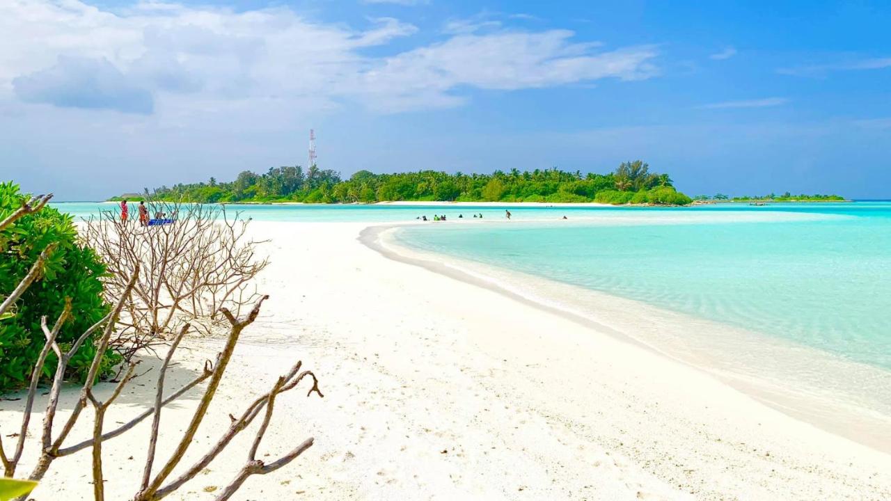 Beach: Royal Reef Stay