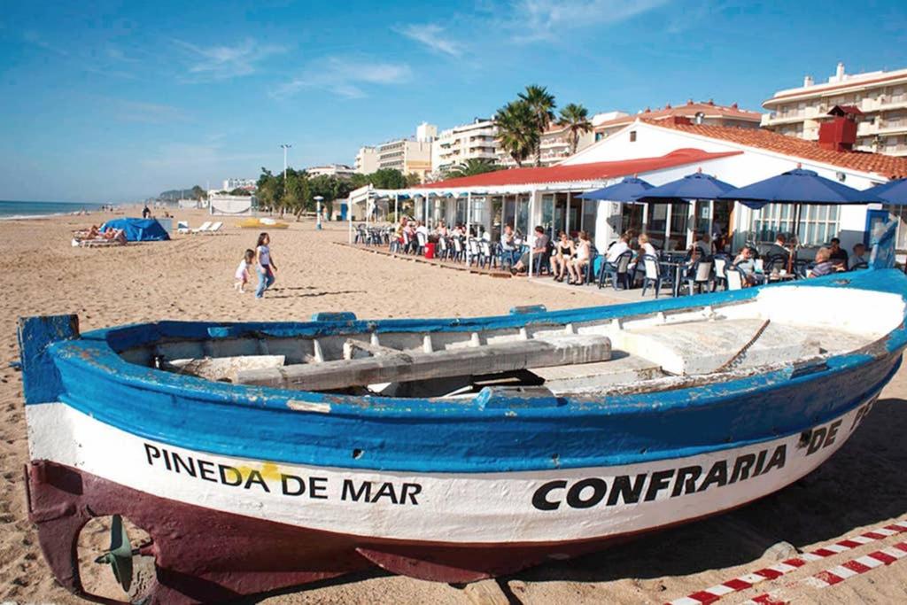 Hotel, plaża: Apartment in front of the Beach