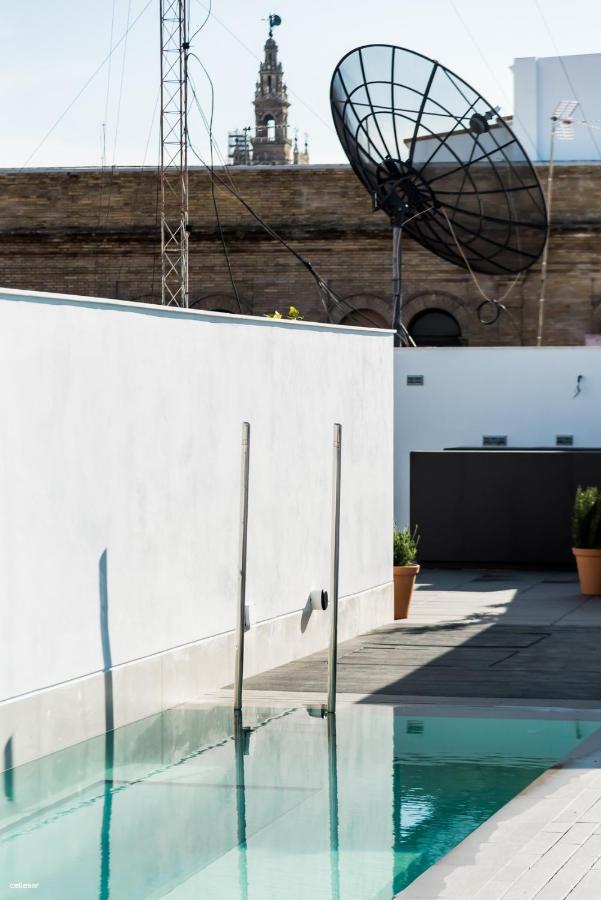 Rooftop swimming pool: Welldone Quality - Crystal pool