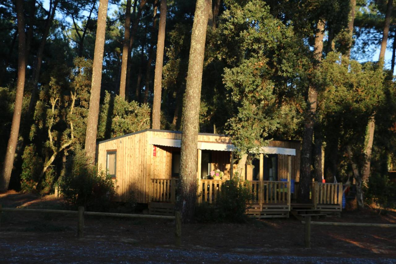 Photo de cet établissement dans la galerie