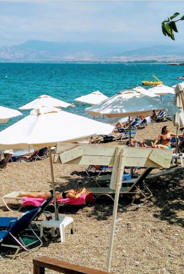 Hotel, plaża: Mediterranean dream