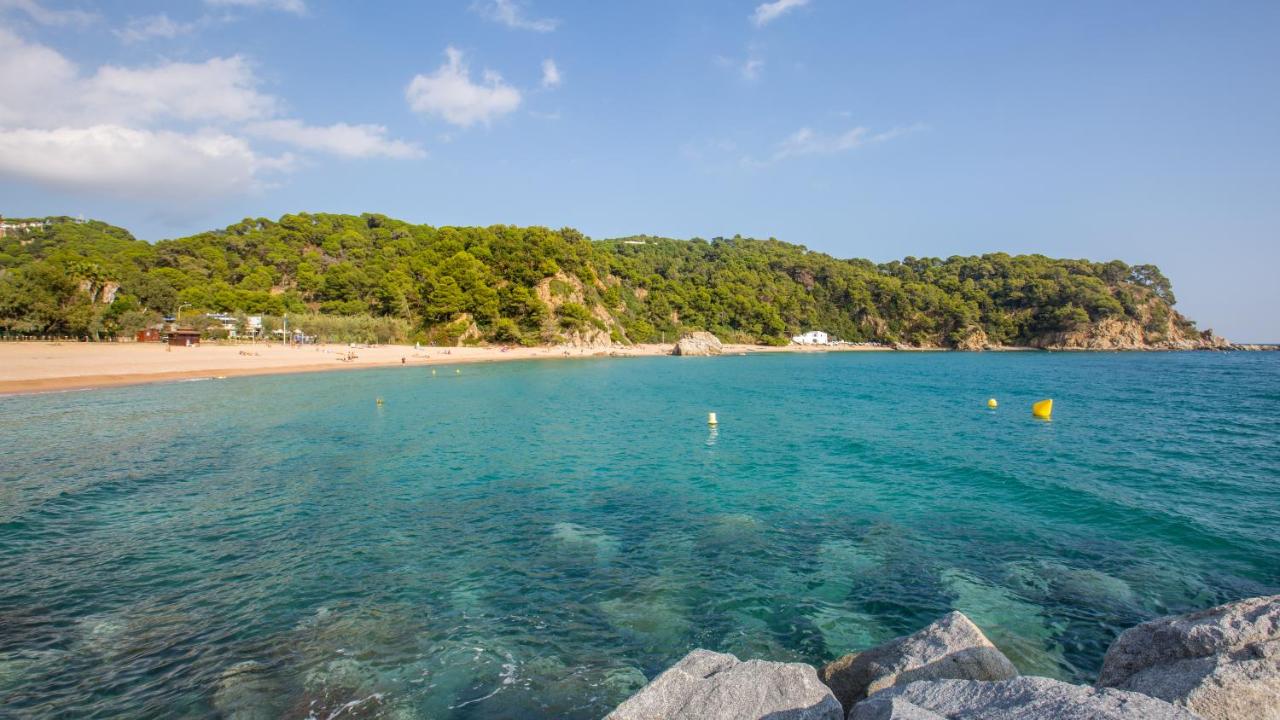 Crisantemo, Lloret de Mar – Bijgewerkte prijzen 2022