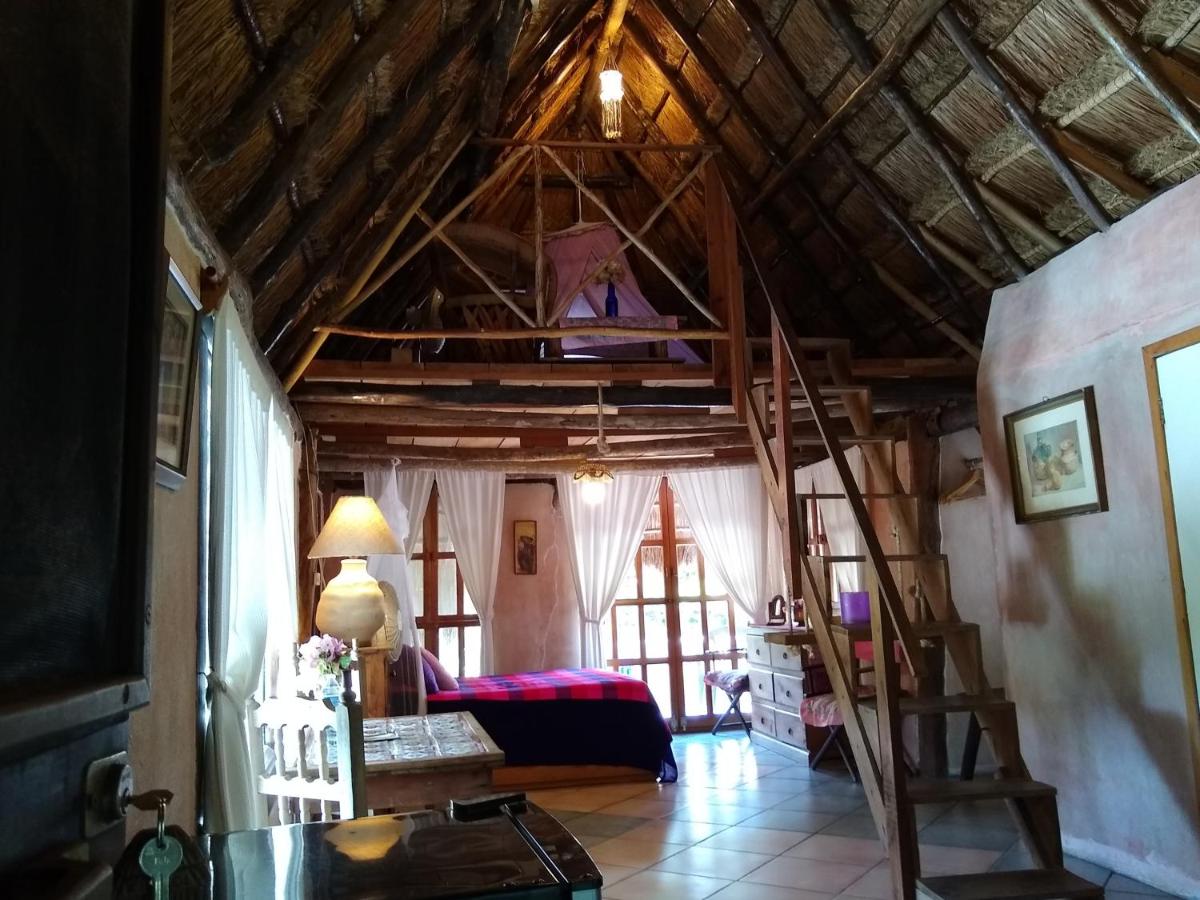 Casitas Kinsol photo