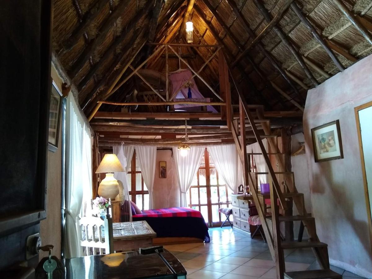 Casitas Kinsol photo