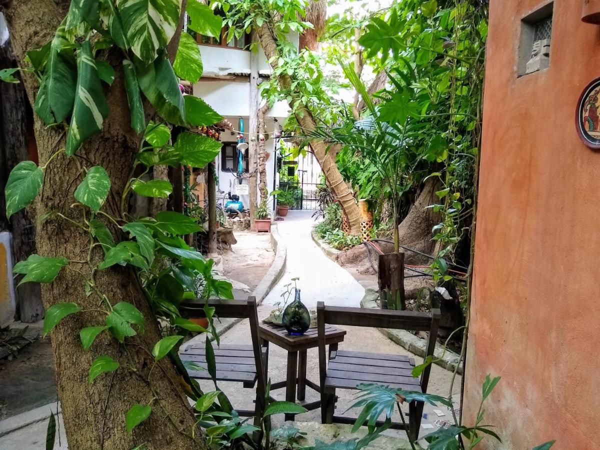 Casitas Kinsol photo