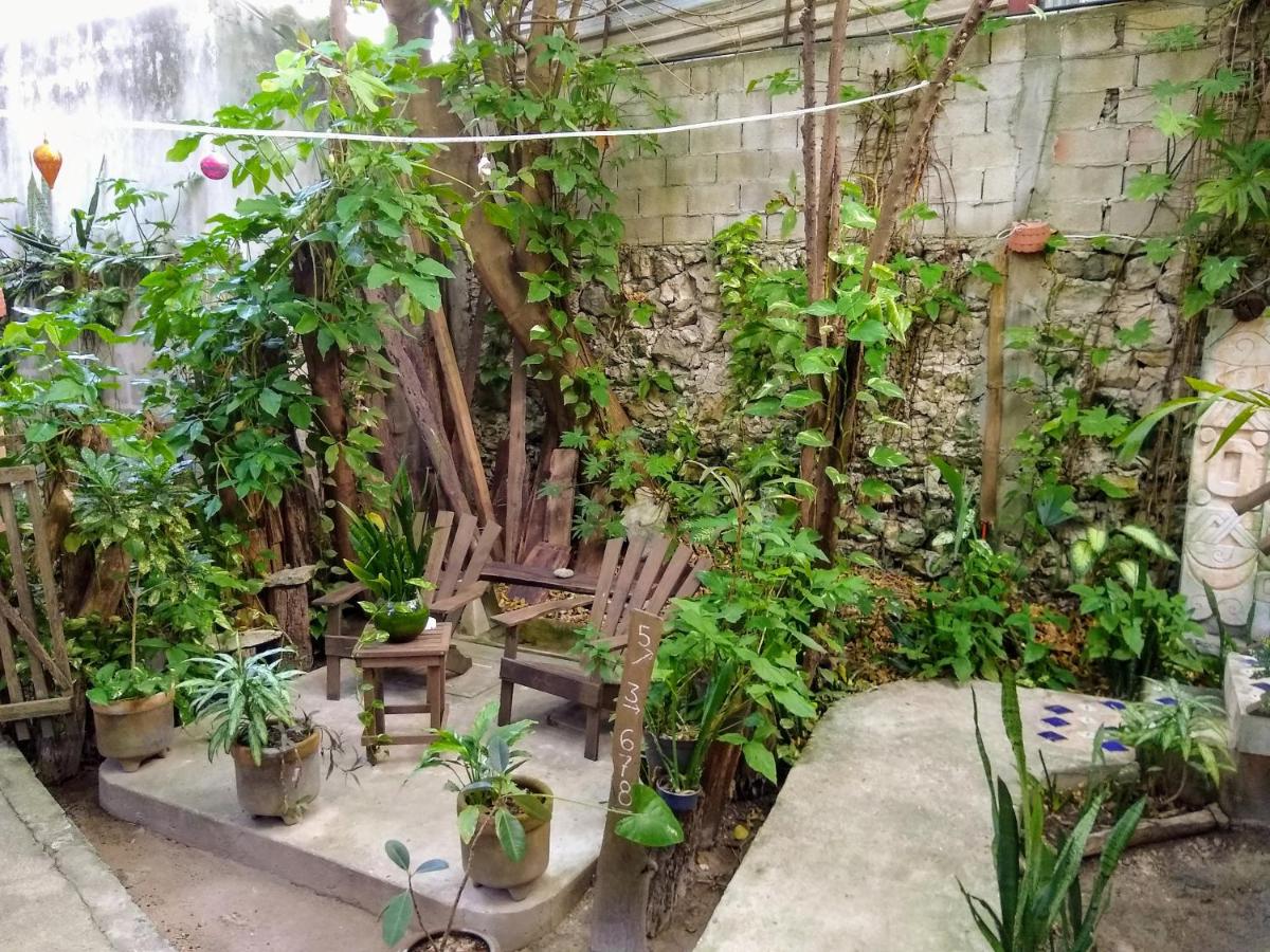 Casitas Kinsol photo