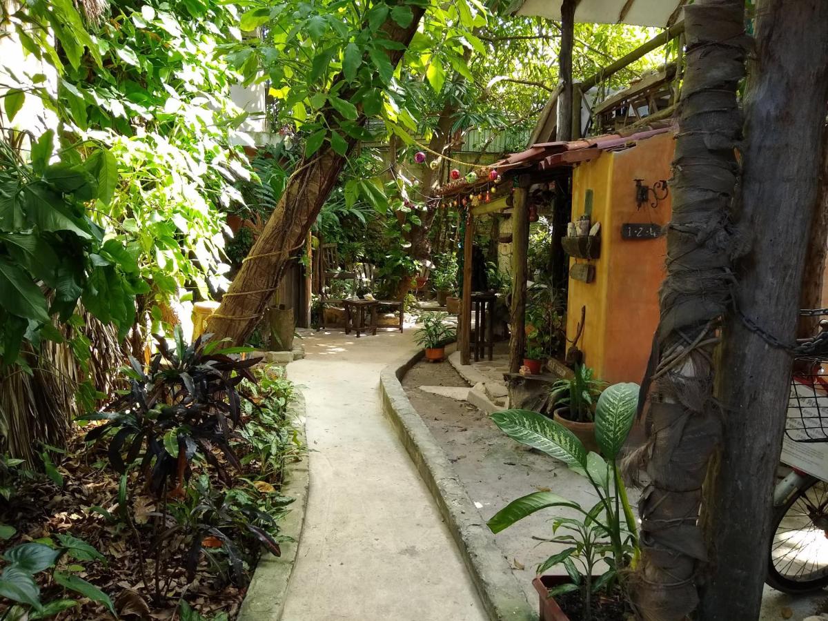 Casitas Kinsol photo