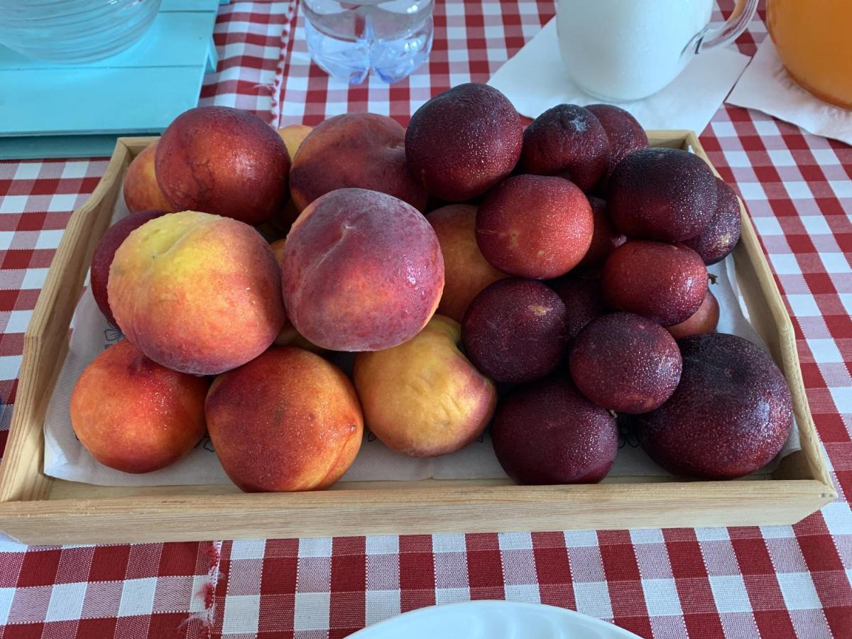 Agriturismo Turudhis