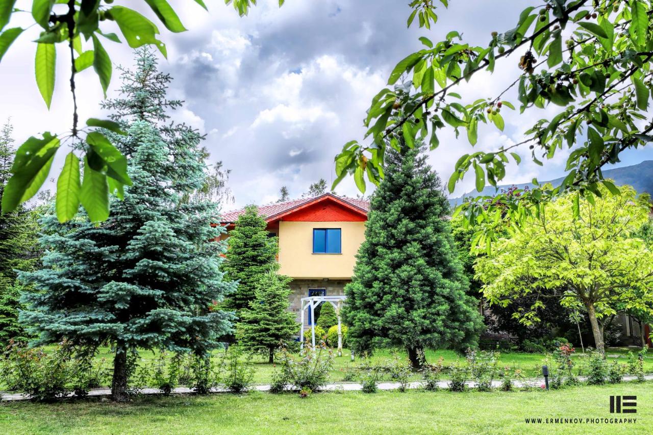 Tsarsko Selo Spa Hotel photo