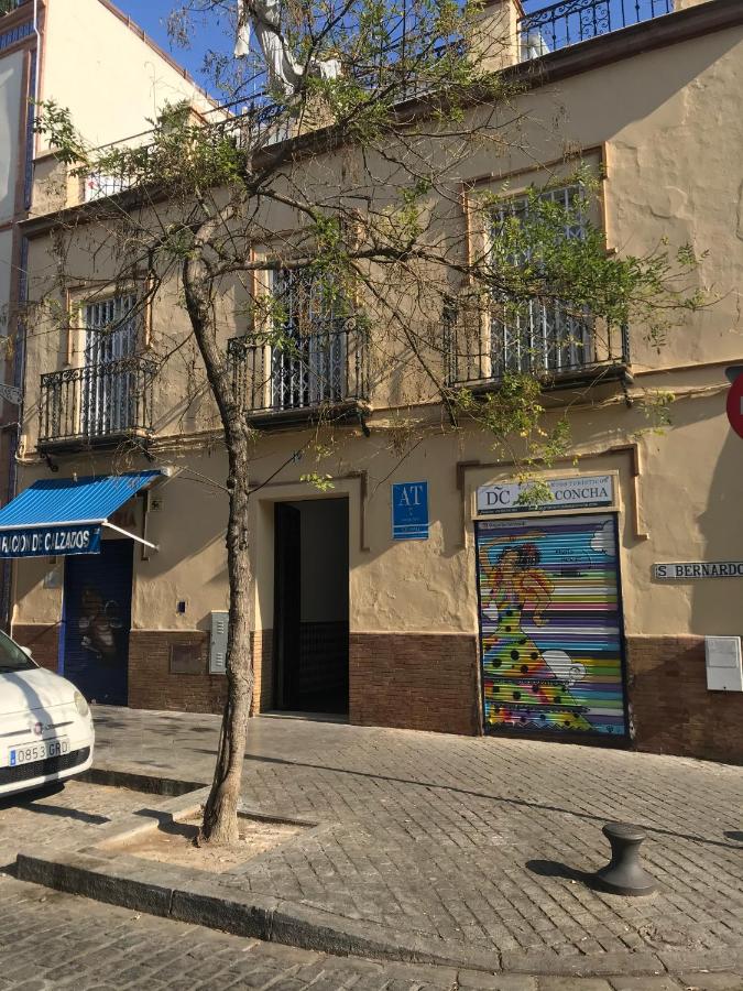 Apartamentos Doña Concha, Sevilla – Bijgewerkte prijzen 2022