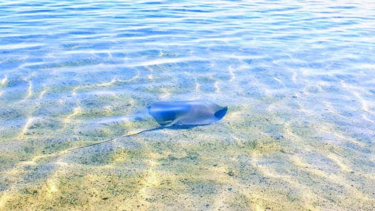 Beach: MOOREA - Fare Taina Iti et Nui