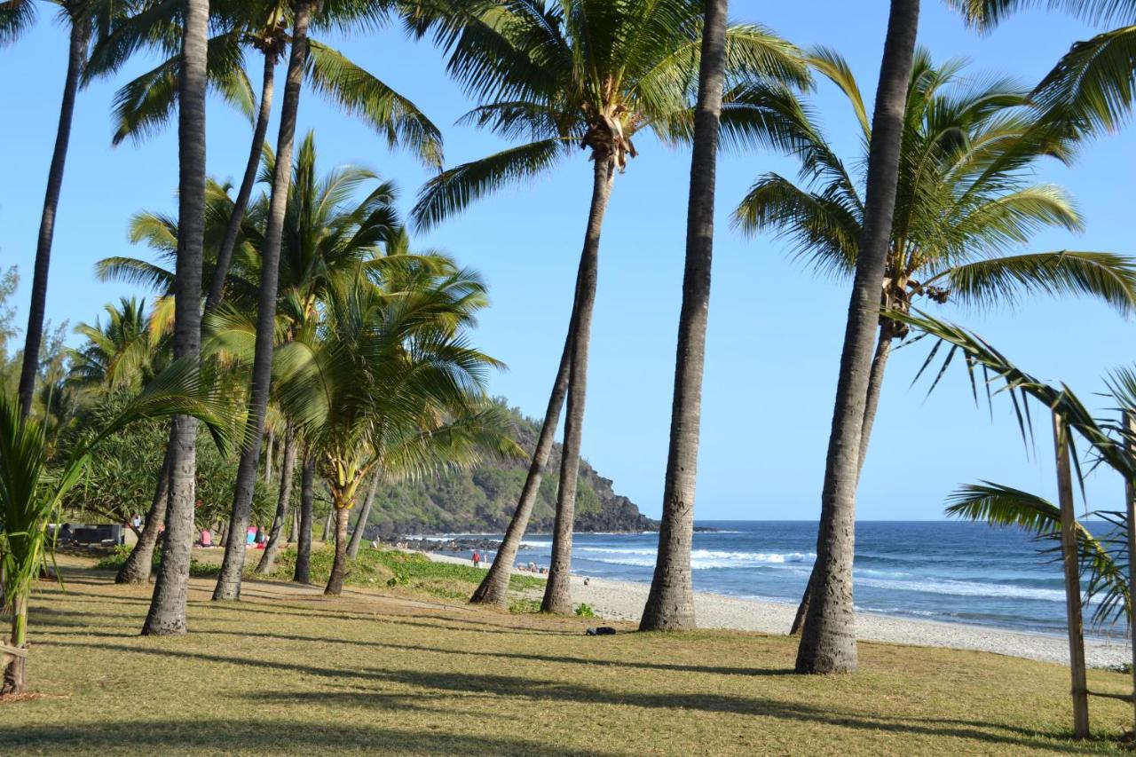 Villa Atypique Le Chat Perche De Grand Anse Petite Ile Updated 22 Prices
