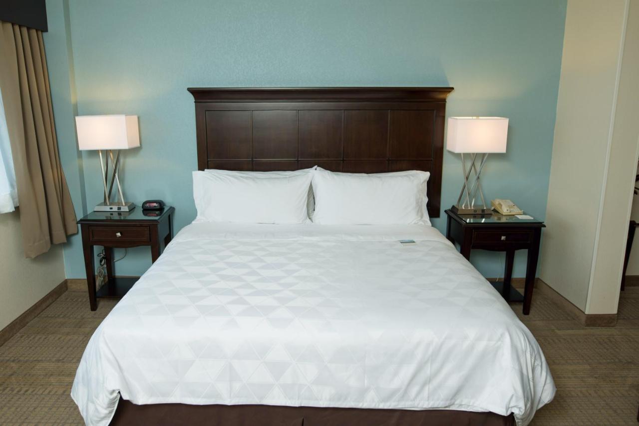 Holiday Inn Birmingham-Airport, an IHG Hotel photo
