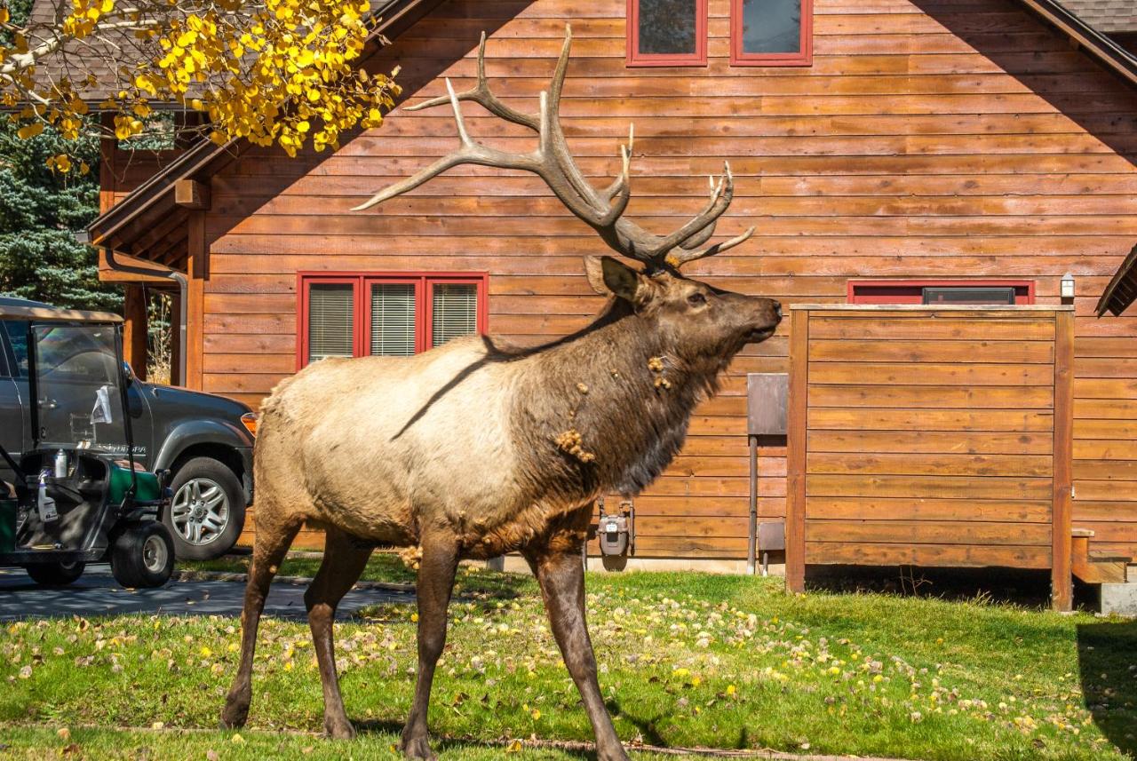 Rams Horn Village Resort — photo 11