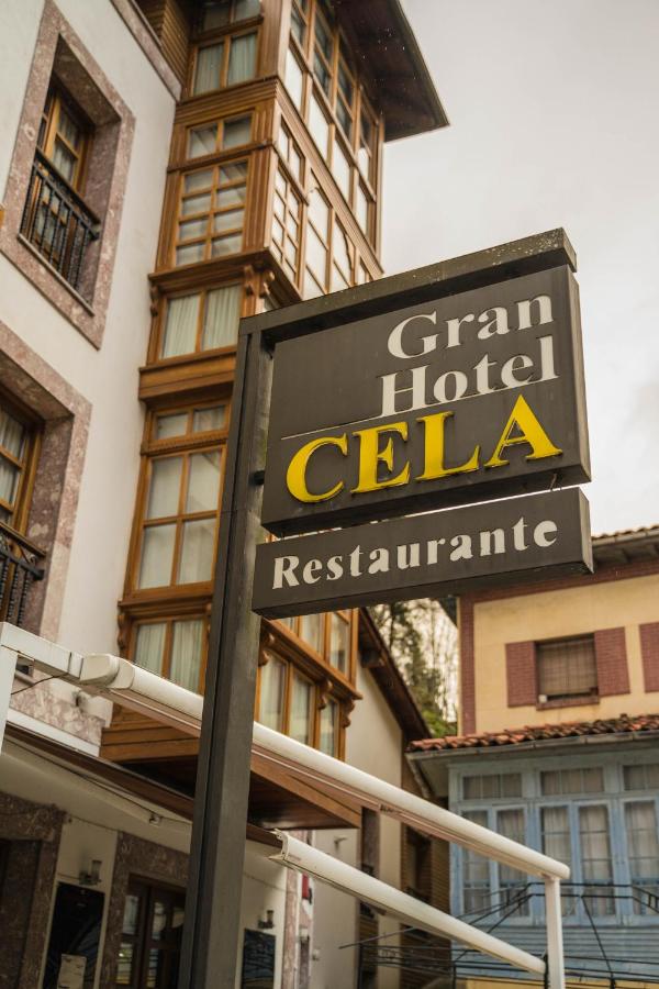 Gran Hotel Rural Cela, Belmonte de Miranda – Precios ...