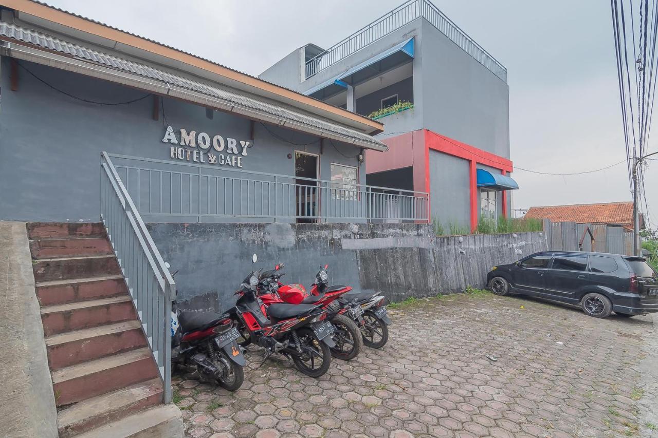 Amoory dating login