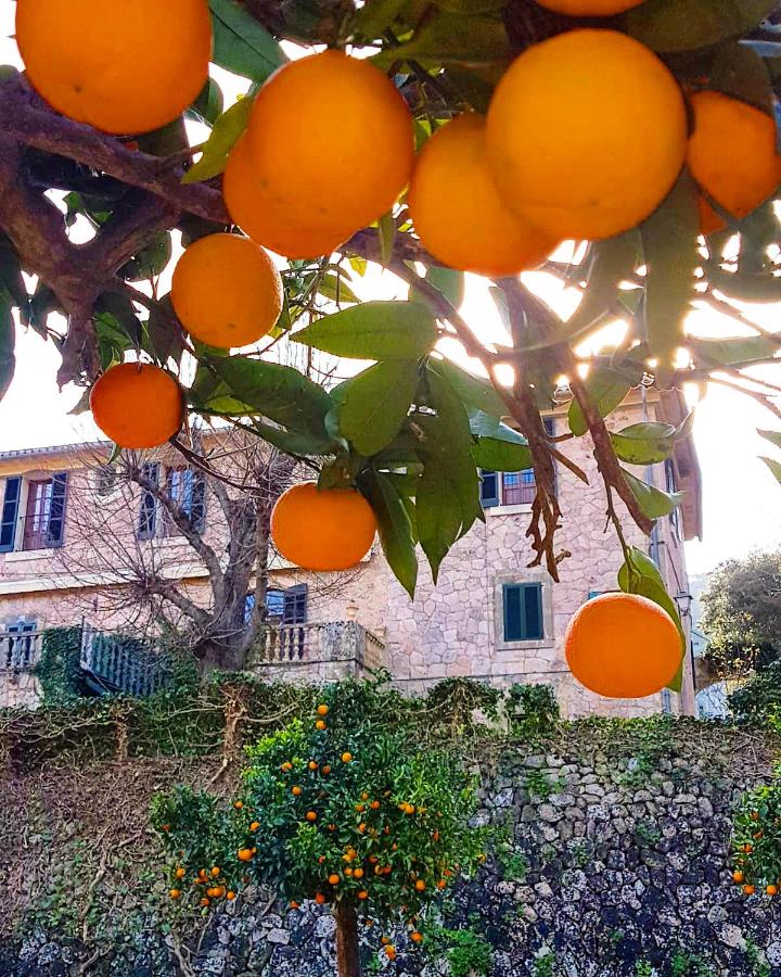 Finca Son Brondo Apartments, Valldemossa – Bijgewerkte ...