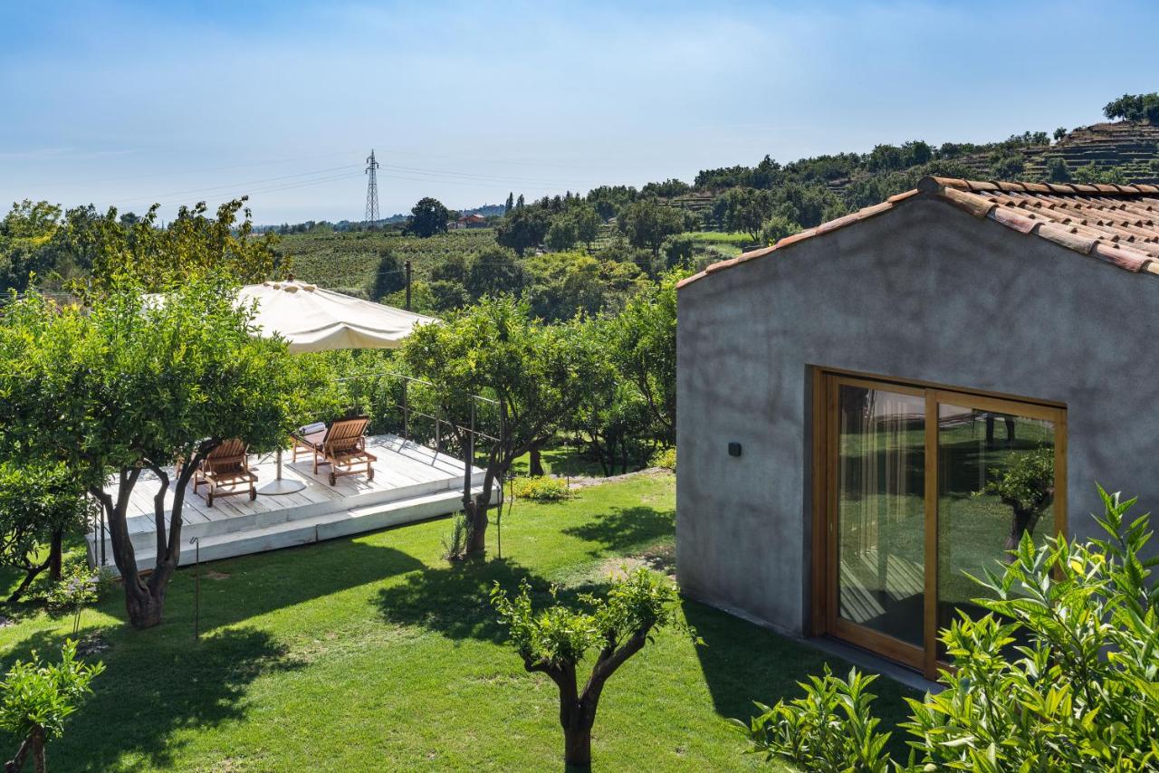 Monaci delle Terre Nere photo