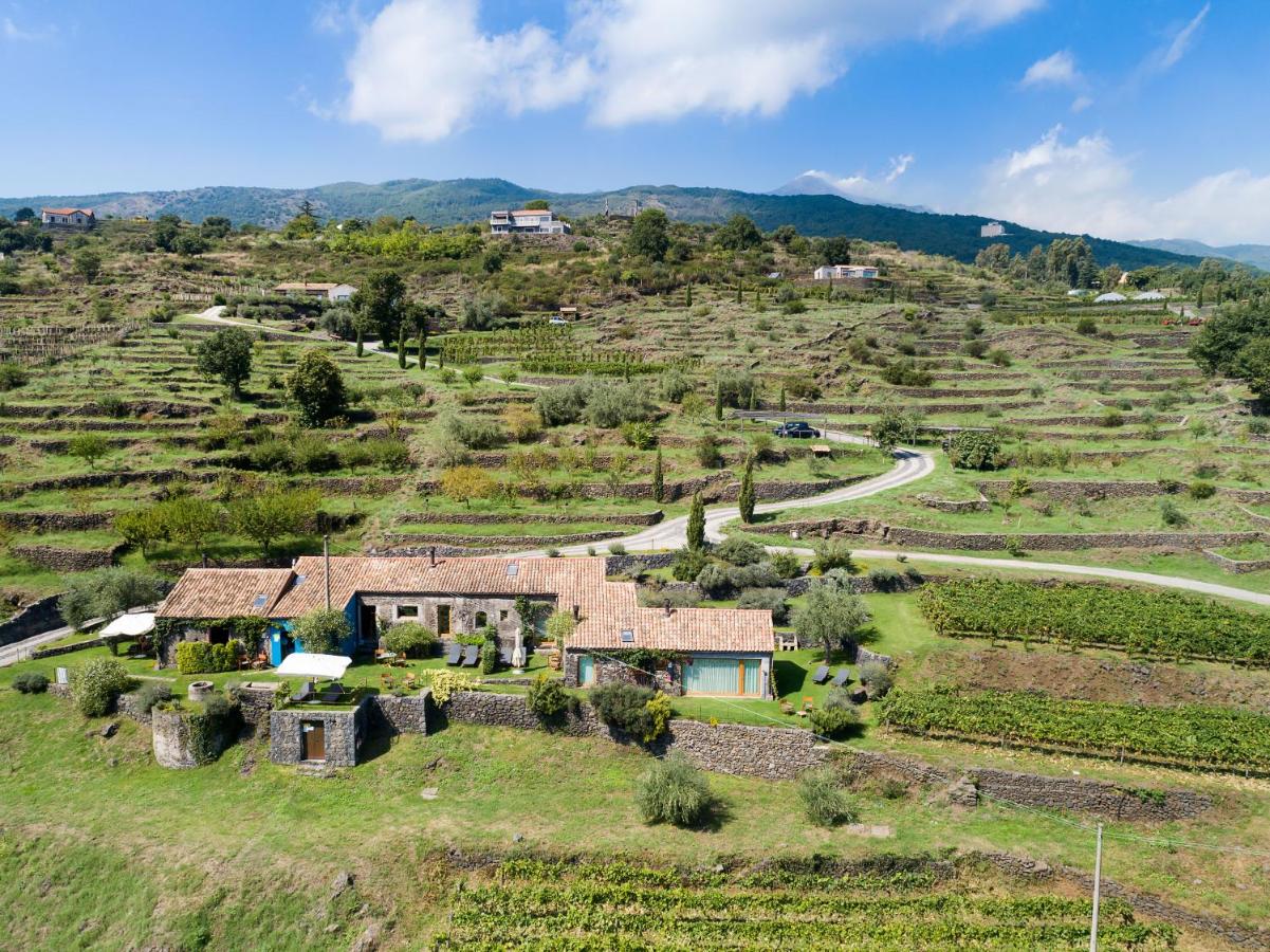 Monaci delle Terre Nere photo