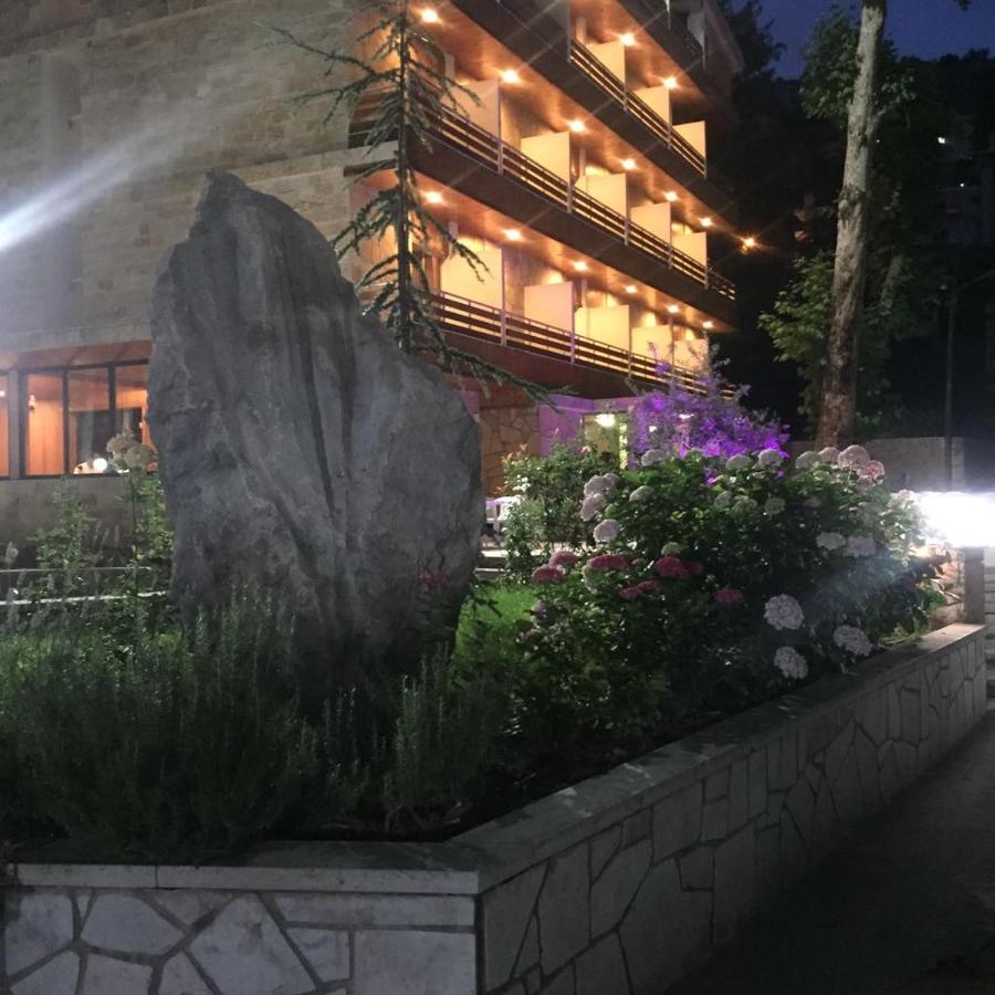 Tamerland-faraya photo