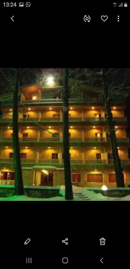 Tamerland-faraya photo