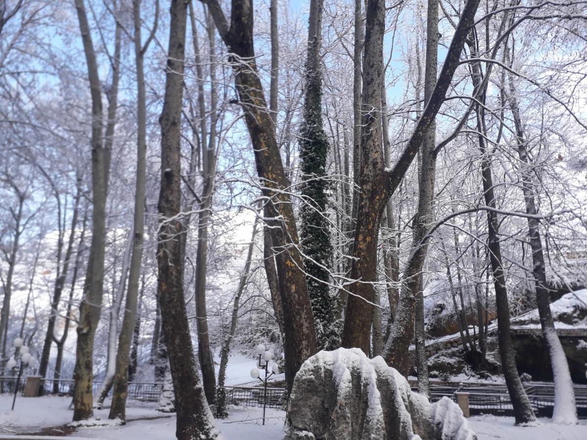 Tamerland-faraya photo