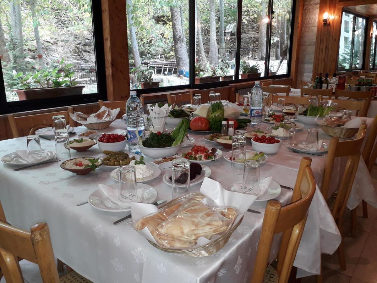 Tamerland-faraya photo