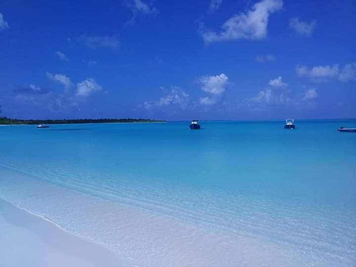 Fali Guest House - 4