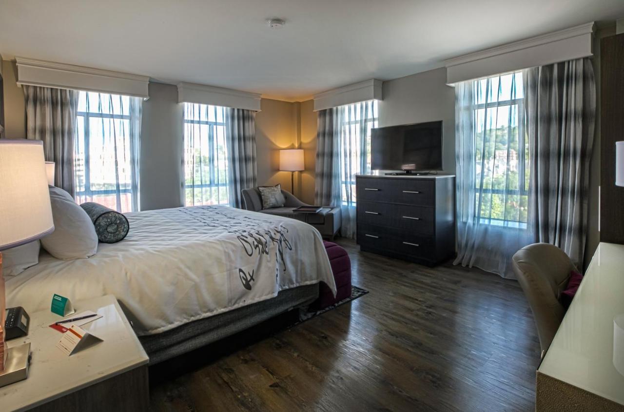Hotel Indigo - Birmingham Five Points S - UAB, an IHG Hotel photo