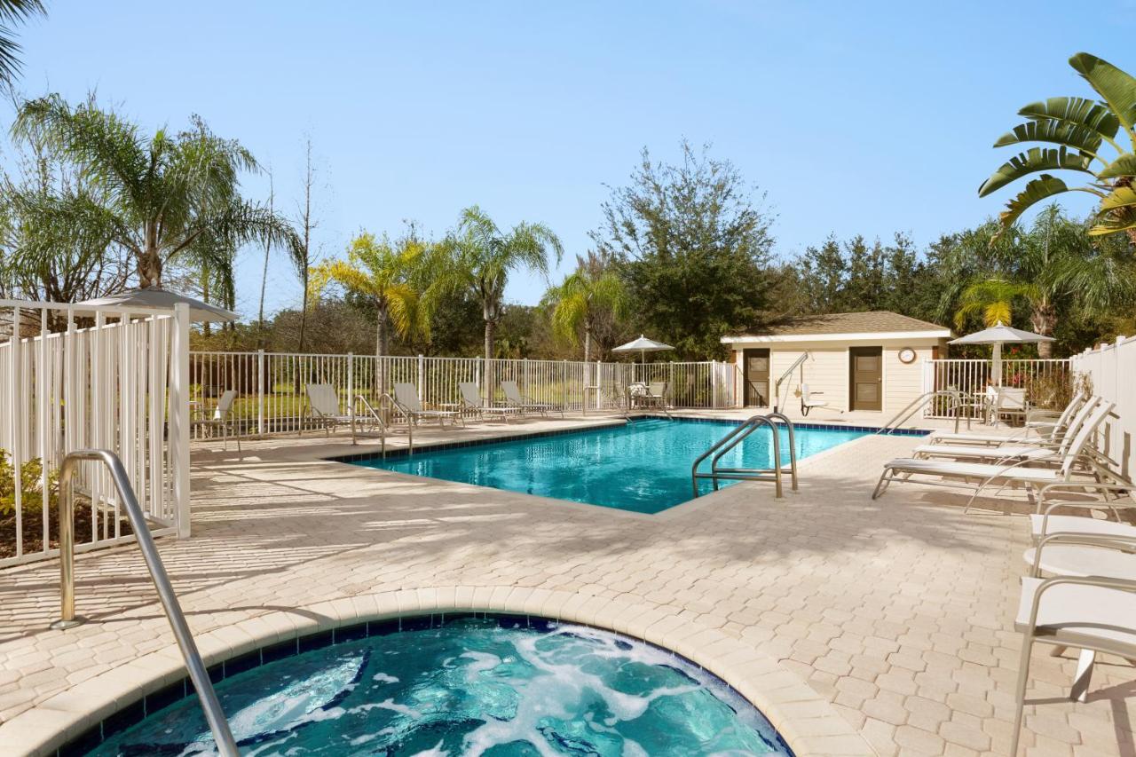 Heated swimming pool: Staybridge Suites Tampa East- Brandon, an IHG Hotel