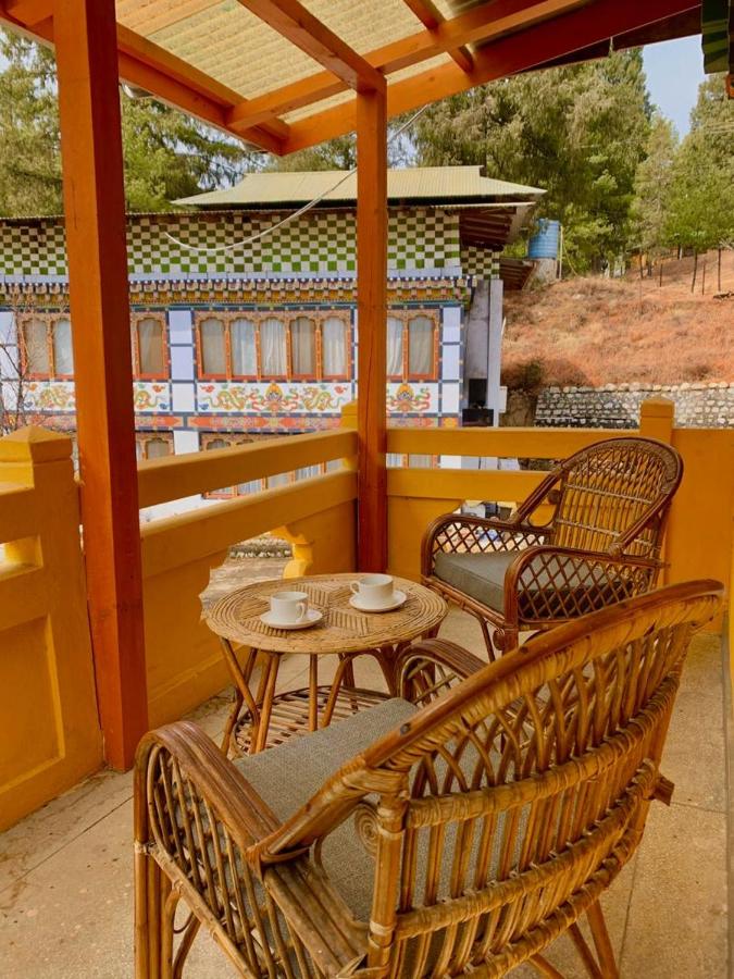 Dzi Pema photo
