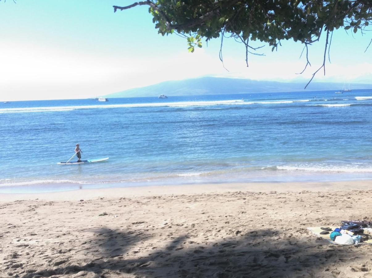 Beach: Tiki Beach Hostel-At The Beach in Lahaina