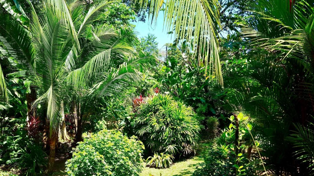 Mar Verde Lodge photo
