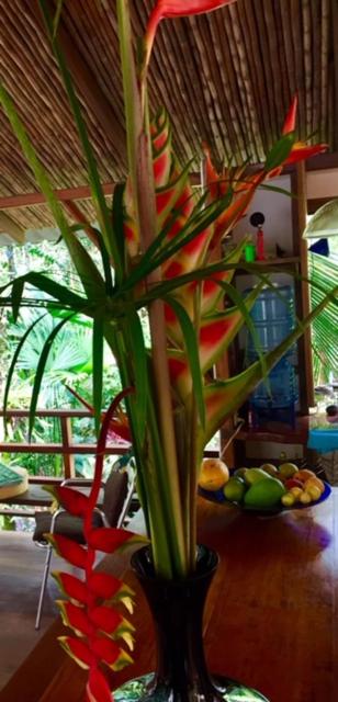 Mar Verde Lodge photo