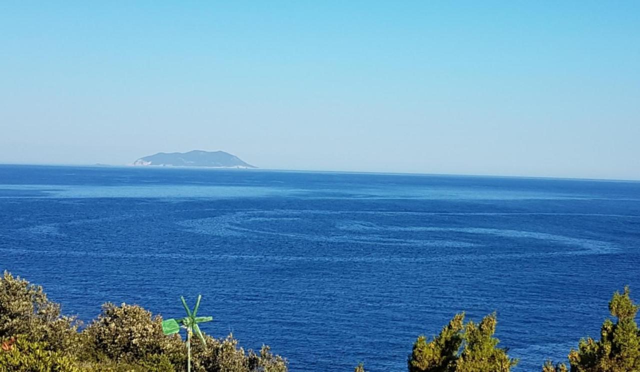 Image: islandescape-bisevo